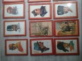 Photo 3 — Lot cartes e.m Dupuis militaire - souvenir historique