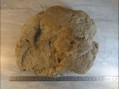 Photo 4 — Empreinte de fossible ammonite de belles dimensions.