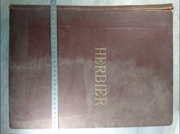 Herbier ancien - travail scolaire école primaire.