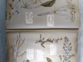 Photo 2 — Herbier ancien - travail scolaire école primaire.