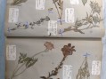 Photo 4 — Herbier ancien - travail scolaire école primaire.