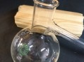 Photo 2 — Verreire chimie pyrex france.