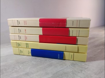 Alexandre jardin - 5 livres : Le petit sauvage : Lezèbre , Chaque femme est un roman