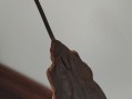 Photo 4 — Balancier de comtoise en bel état