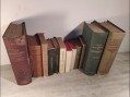 Photo 3 — Lot livres anciens médecine anatomie topographique thérapeutique clinique