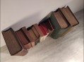 Photo 4 — Lot livres anciens médecine anatomie topographique thérapeutique clinique