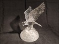 Photo 1 — Aigle cristal d'Arc