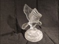 Photo 2 — Aigle cristal d'Arc