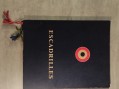 Photo 1 — Recueil des insignes et blasons des escadrilles - armée de l'air