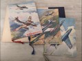 Photo 5 — Recueil des insignes et blasons des escadrilles - armée de l'air