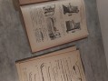 Photo 4 — Lot livre medecine anciens - catalogue de Rainal - H.brodard