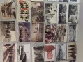 Photo 3 — Lot 48 CPA reproduction - guerre militaria verdun et divers