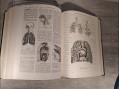 Photo 3 — Larousse médical 1952 - livre médecine.