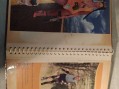 Photo 9 — Albums montage collage photos - Sarkozy Pasqua Fillon Jospin bush Chirac jupé