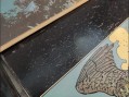 Photo 3 — Lot 5 bds bandes dessinées -  Glenat et divers l'epervier les compagnons du crépuscule Manara - quatre doigts