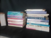 Lot de Livres : Dhiravamsa Chaman Réincarnation Tao Karma Kabbale Shambhala Méditation